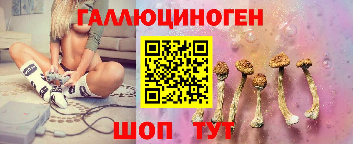 Галлюциногенные грибы Psilocybine cubensis  Вход с VPN  Псилоцибиновые грибы Psilocybe  Петрозаводск 